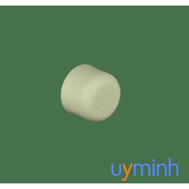 Đầu bịt Ống PP-R Tiền Phong