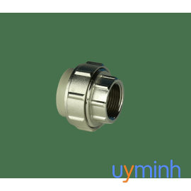 Zắc co ren trong PPR Tiền Phong