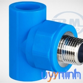 Tê ren ngoài PPR Bình Minh