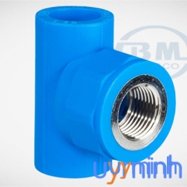 Tê ren trong PPR Bình Minh